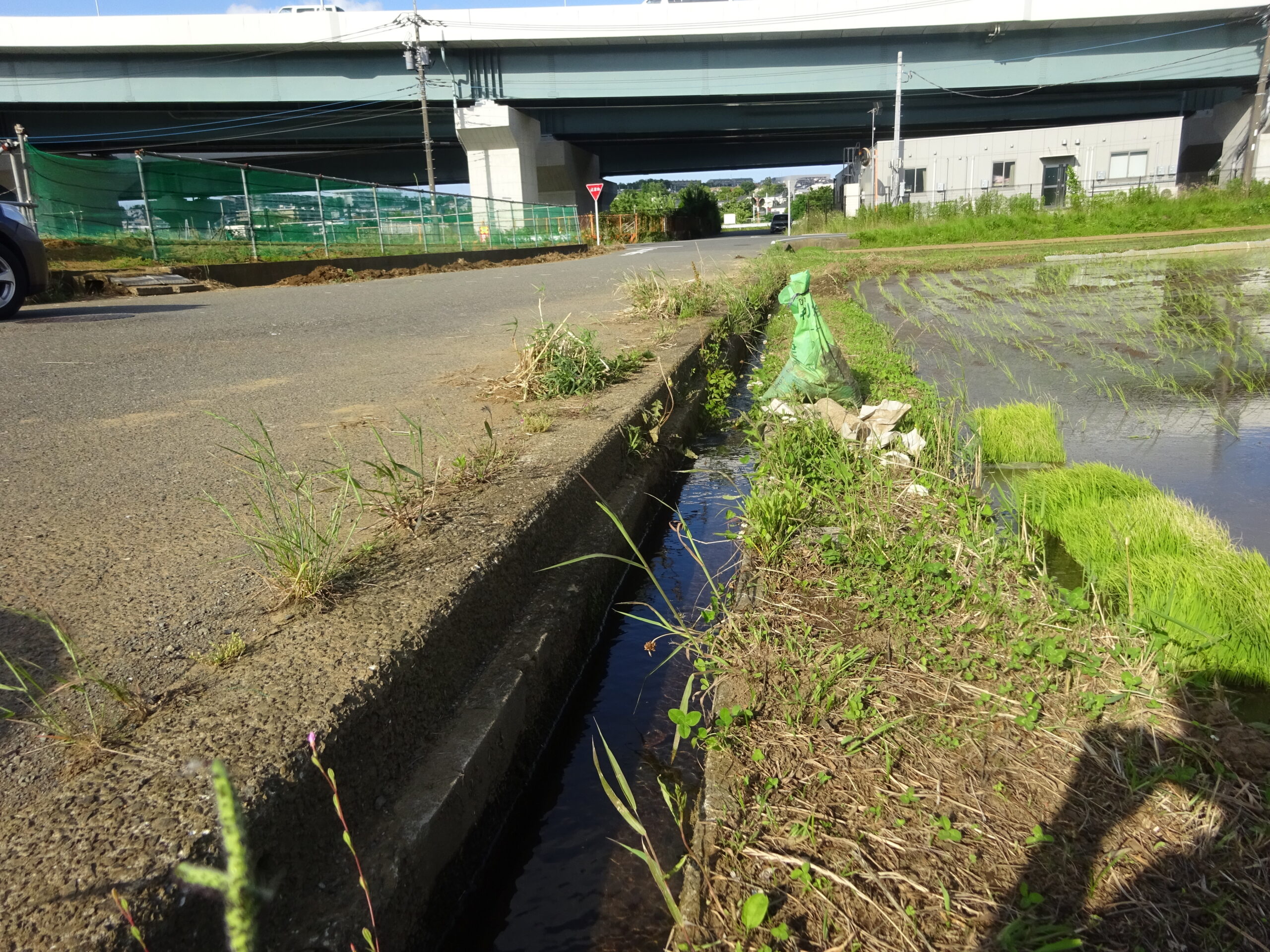 任意整理でも借りれる